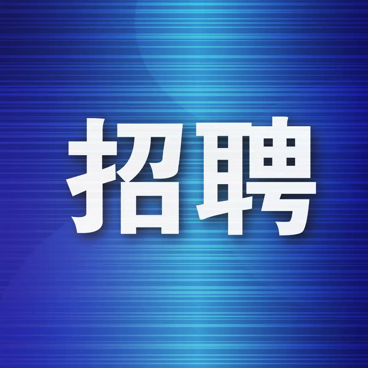 关于选聘2025年度会计师事务所的通知